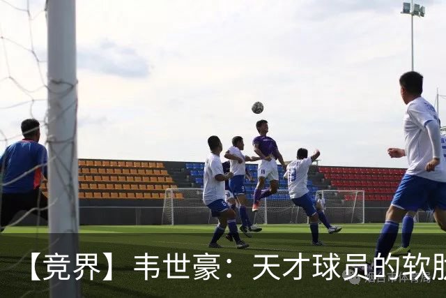 【竞界】韦世豪：天才球员的软肋 洪七公效应的外溢