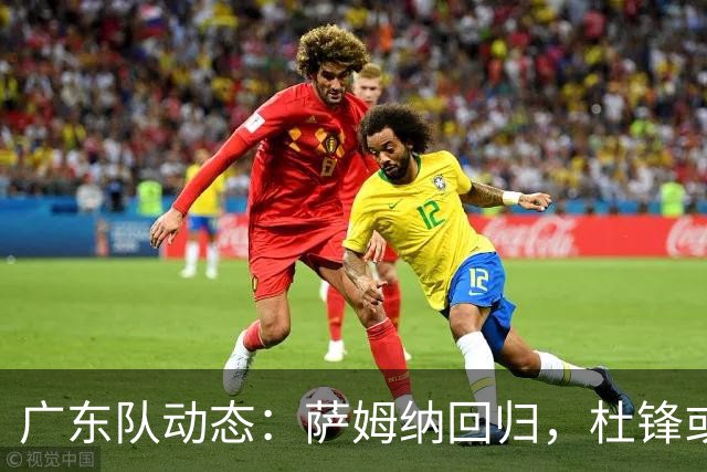 广东队动态：萨姆纳回归，杜锋或将出任国家队主教练？